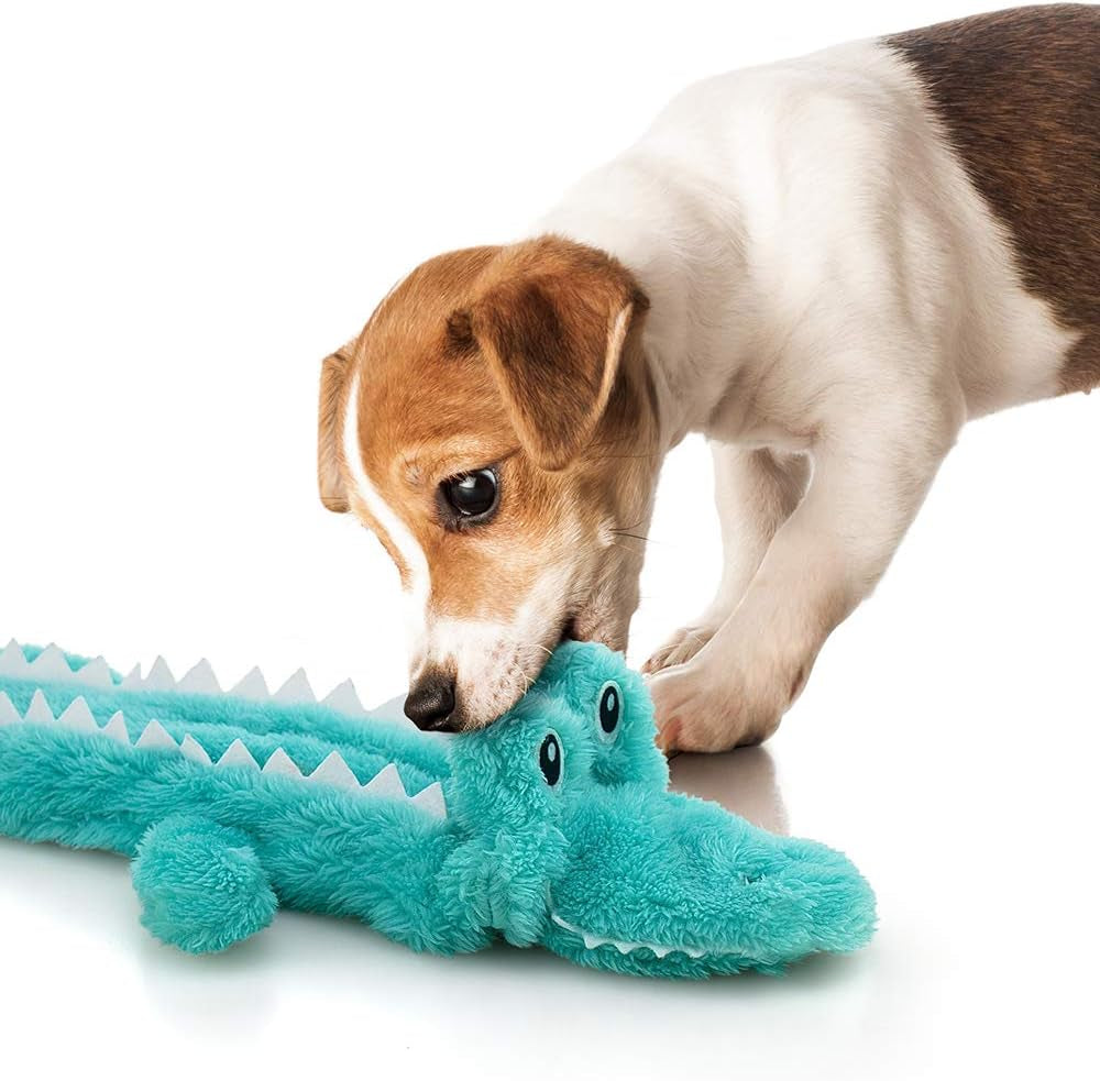 5 Pack Dog Squeaky Toys - No Stuffing, Durable Chew Toy Set for Puppy, Small to Large Dogs
